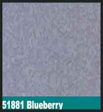 51881 Blueberry